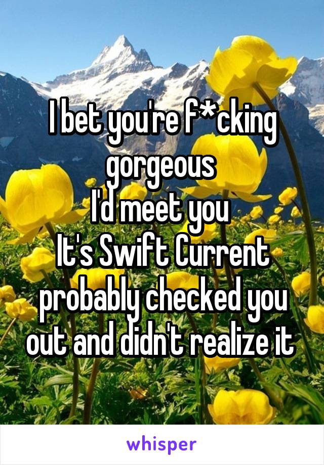 I bet you're f*cking gorgeous 
I'd meet you 
It's Swift Current probably checked you out and didn't realize it 