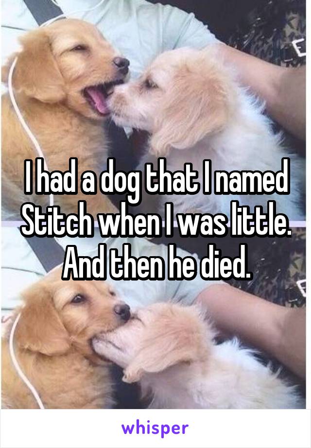 I had a dog that I named Stitch when I was little. And then he died.