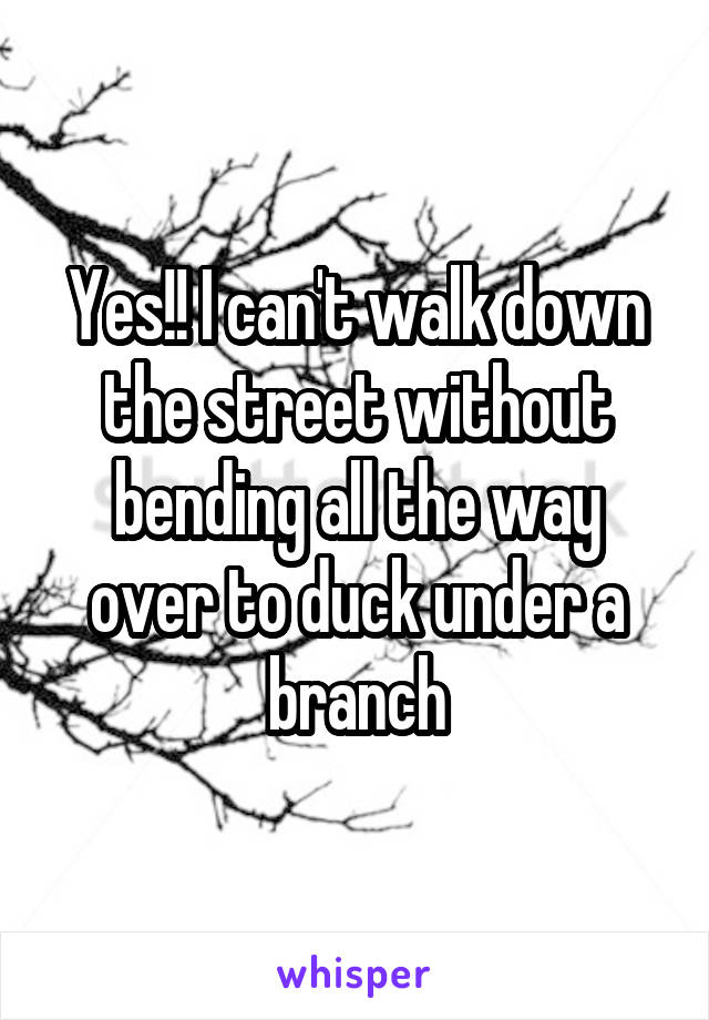 Yes!! I can't walk down the street without bending all the way over to duck under a branch