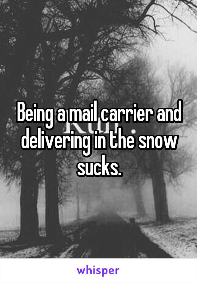 Being a mail carrier and delivering in the snow sucks.