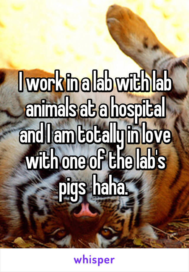 I work in a lab with lab animals at a hospital and I am totally in love with one of the lab's pigs  haha. 