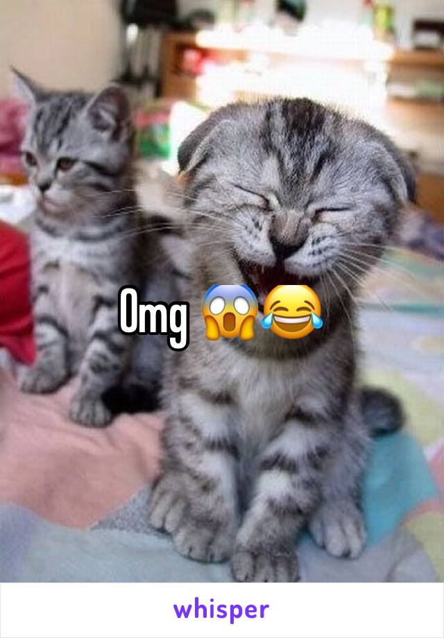 Omg 😱😂