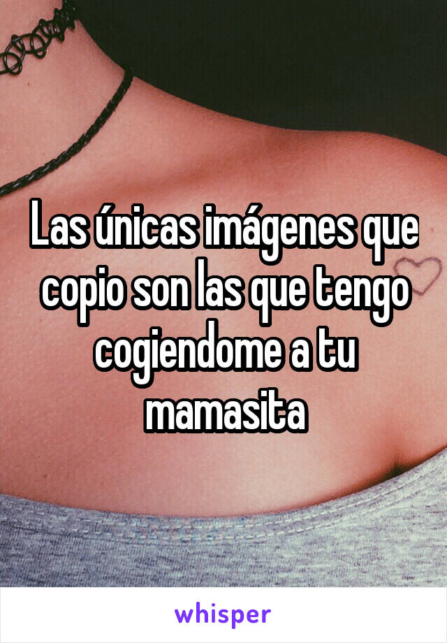 Las únicas imágenes que copio son las que tengo cogiendome a tu mamasita