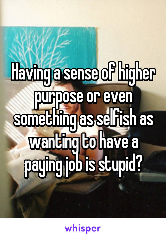 Having a sense of higher purpose or even something as selfish as wanting to have a paying job is stupid?