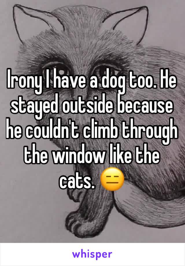 Irony I have a dog too. He stayed outside because he couldn't climb through the window like the cats. 😑