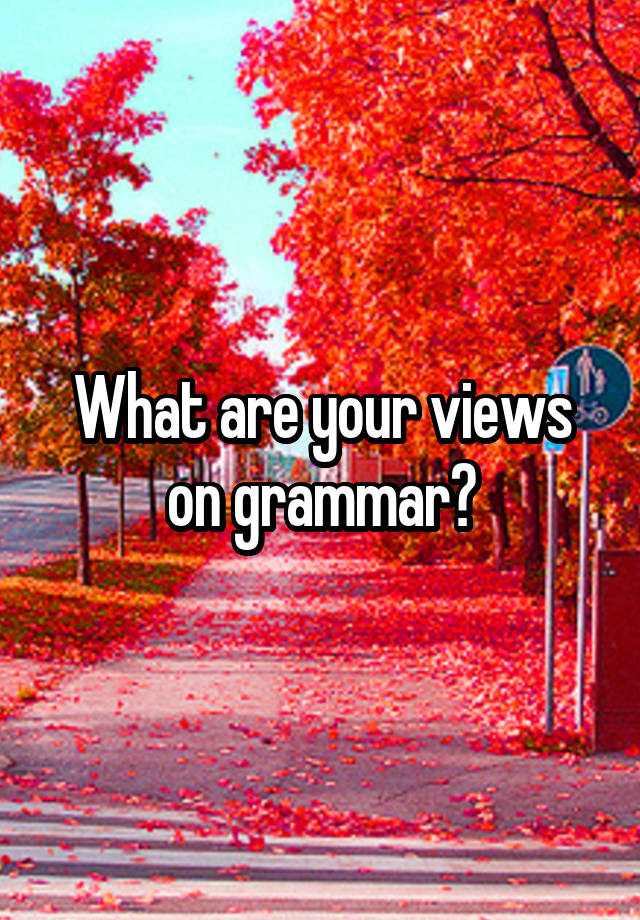 what-are-your-views-on-grammar