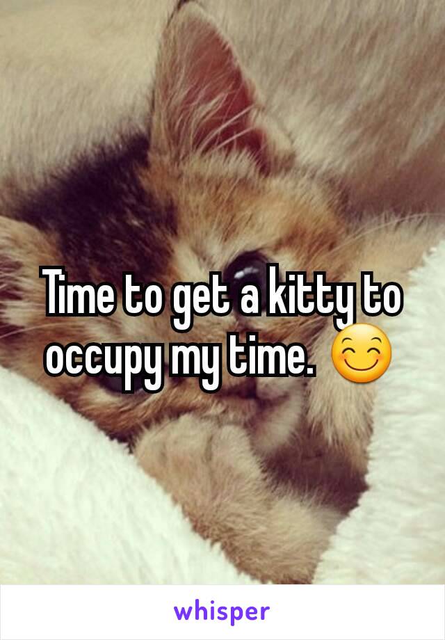 Time to get a kitty to occupy my time. 😊