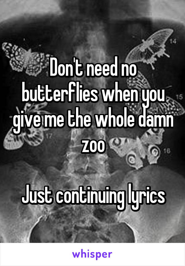 Don't need no butterflies when you give me the whole damn zoo

Just continuing lyrics