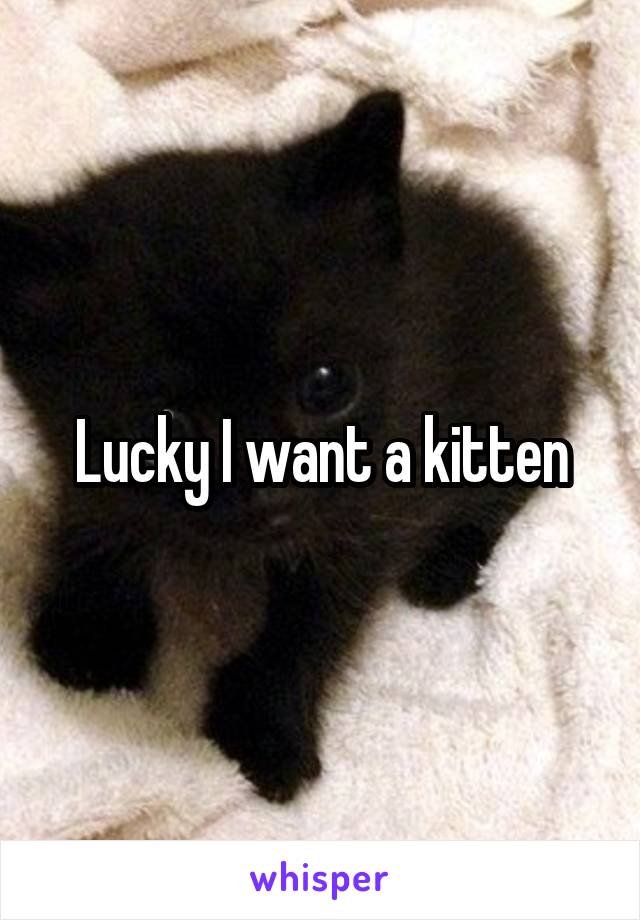 Lucky I want a kitten