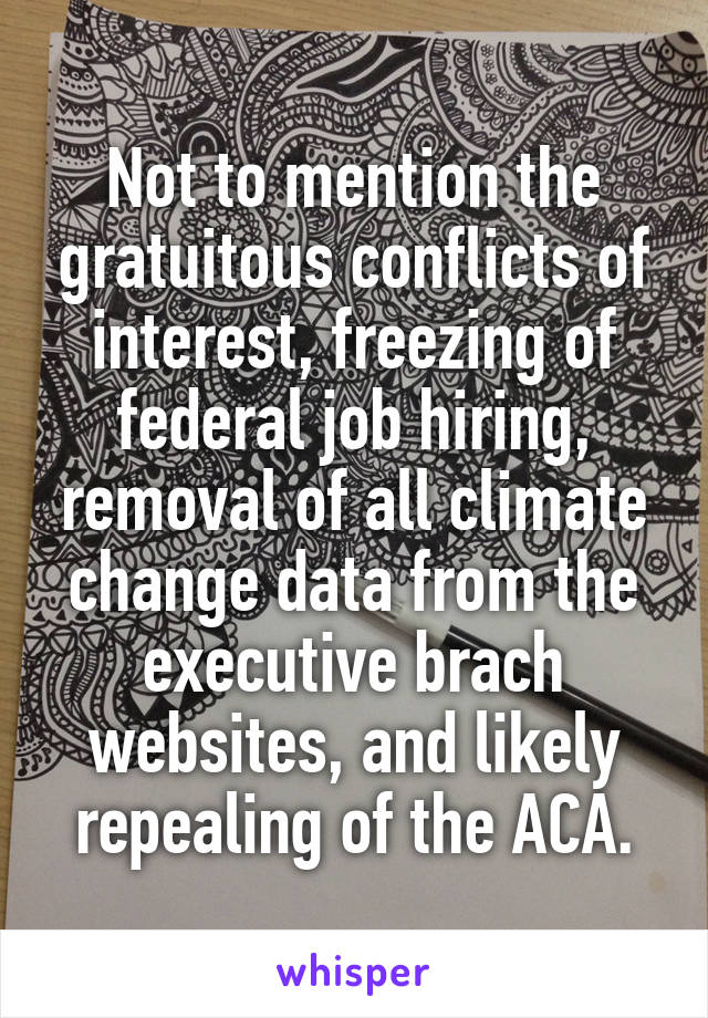 Not to mention the gratuitous conflicts of interest, freezing of federal job hiring, removal of all climate change data from the executive brach websites, and likely repealing of the ACA.