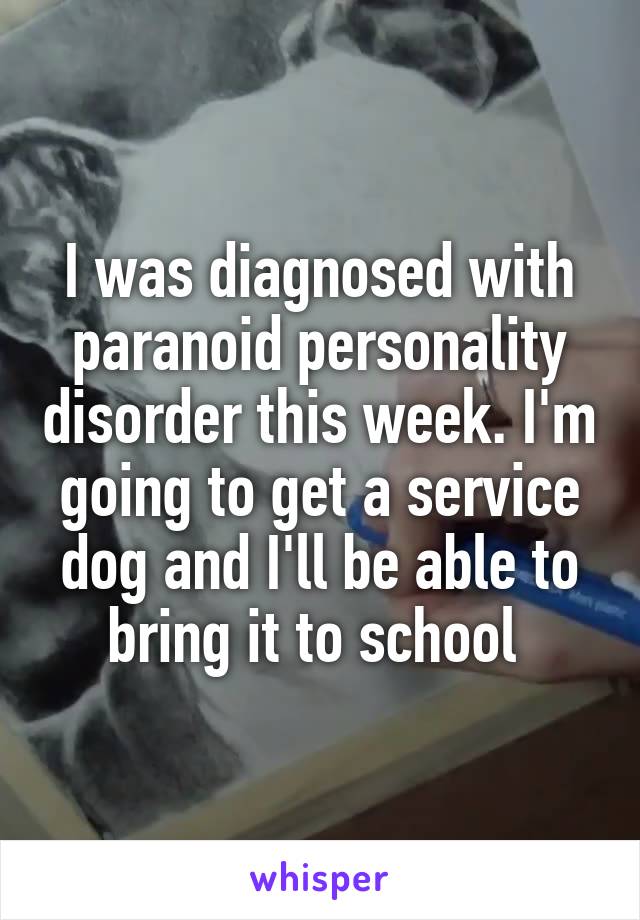 I was diagnosed with paranoid personality disorder this week. I'm going to get a service dog and I'll be able to bring it to school 