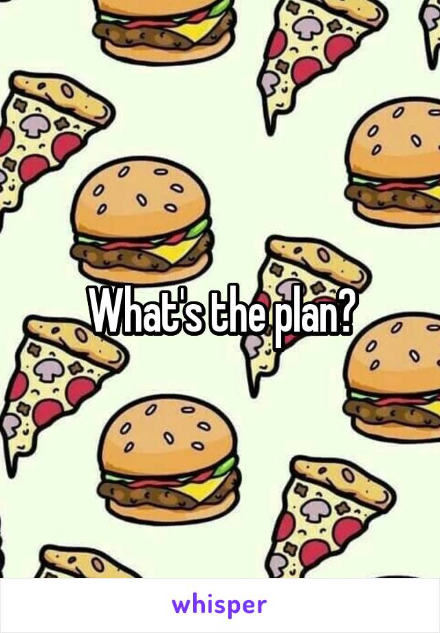 What's the plan?