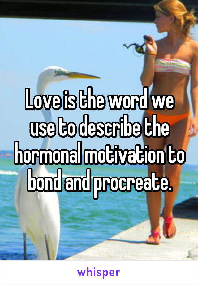 Love is the word we use to describe the hormonal motivation to bond and procreate.