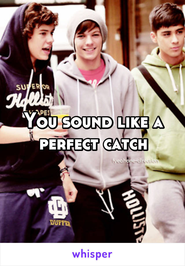You sound like a perfect catch