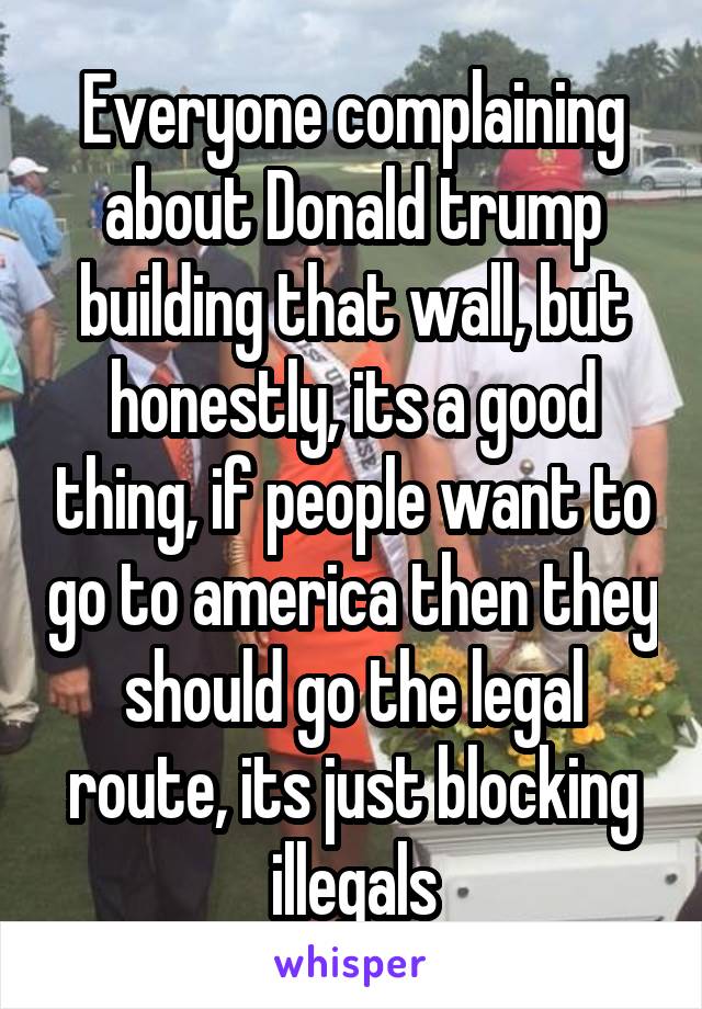 Everyone complaining about Donald trump building that wall, but honestly, its a good thing, if people want to go to america then they should go the legal route, its just blocking illegals