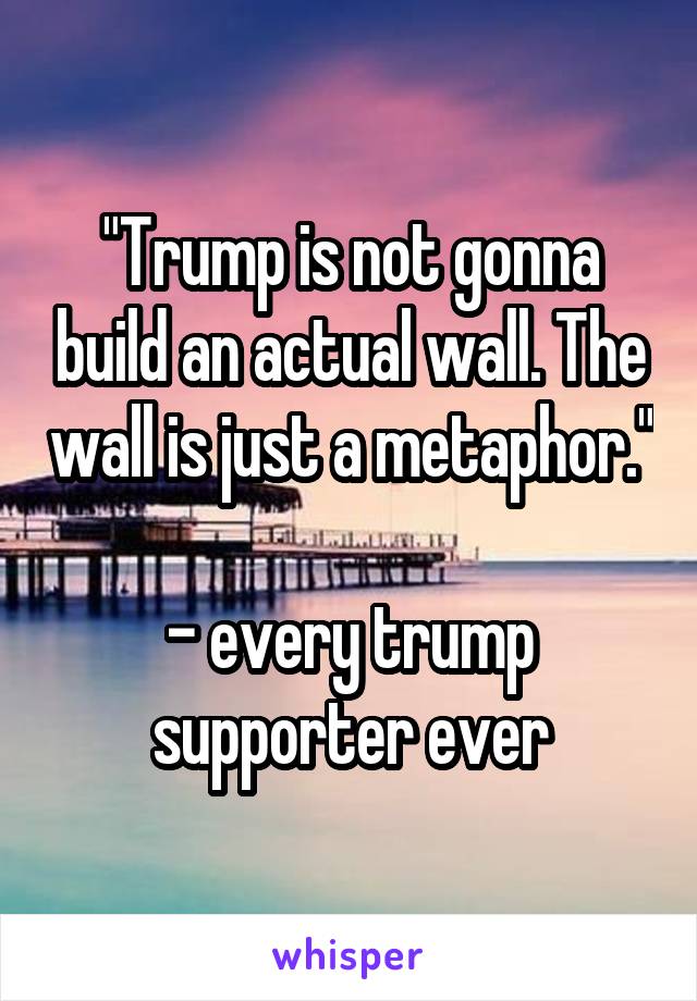 "Trump is not gonna build an actual wall. The wall is just a metaphor."

- every trump supporter ever