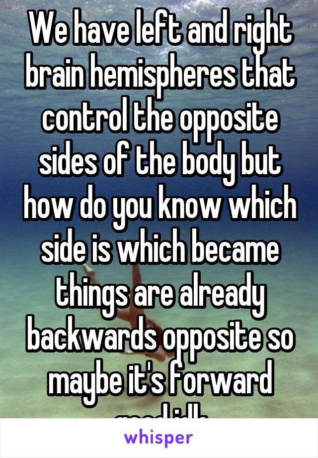 We have left and right brain hemispheres that control the opposite sides of the body but how do you know which side is which became things are already backwards opposite so maybe it's forward good idk