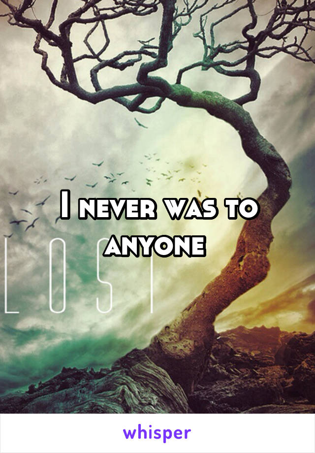 I never was to anyone 