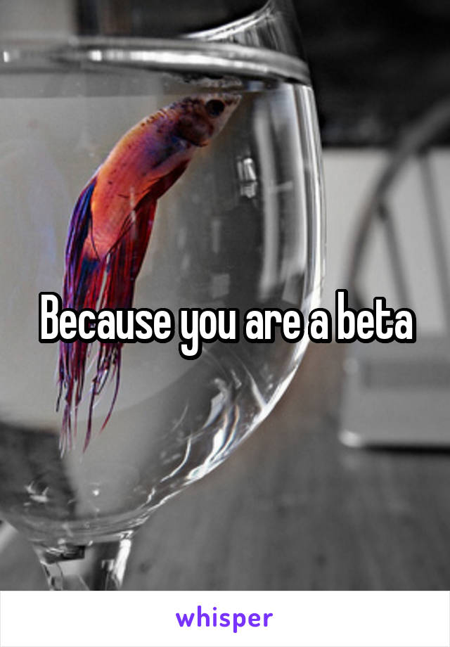 Because you are a beta