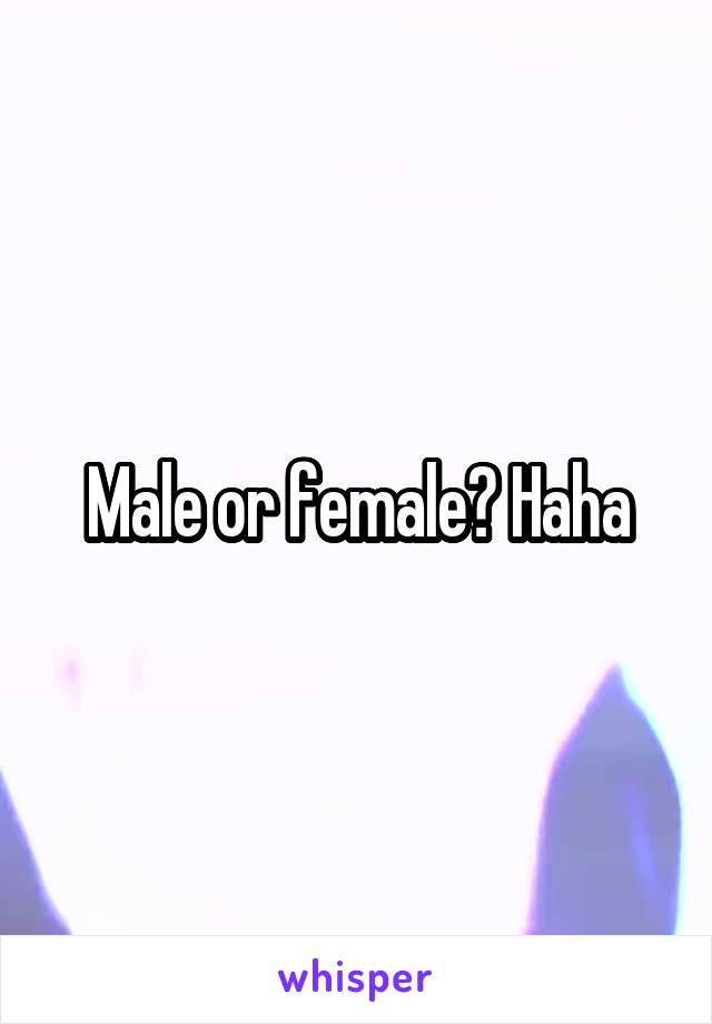 Male or female? Haha