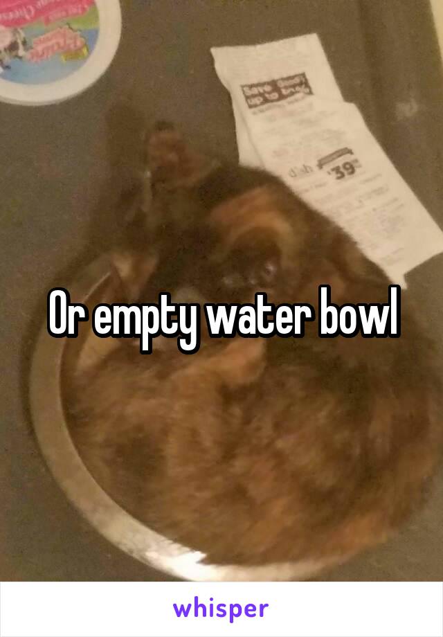 Or empty water bowl