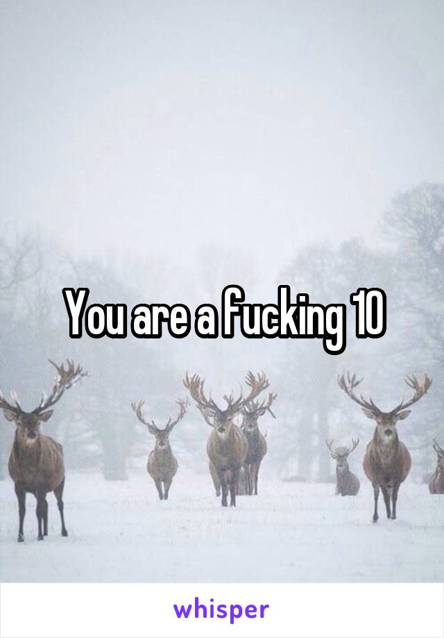 You are a fucking 10