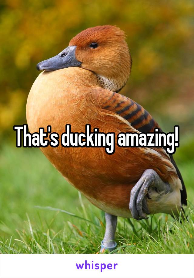 That's ducking amazing! 