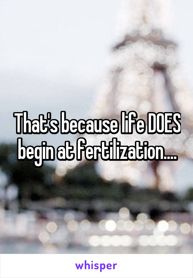 That's because life DOES begin at fertilization....