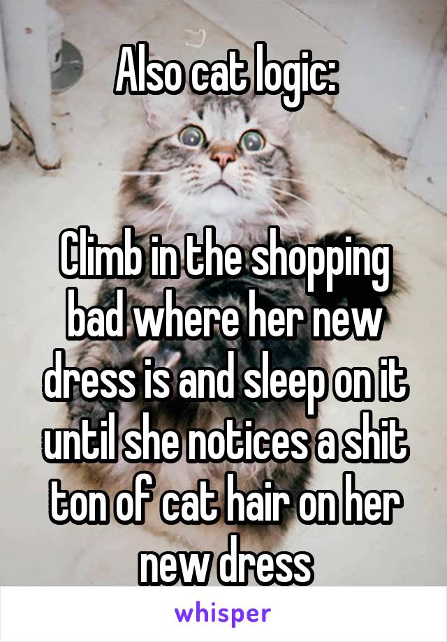 Also cat logic:


Climb in the shopping bad where her new dress is and sleep on it until she notices a shit ton of cat hair on her new dress