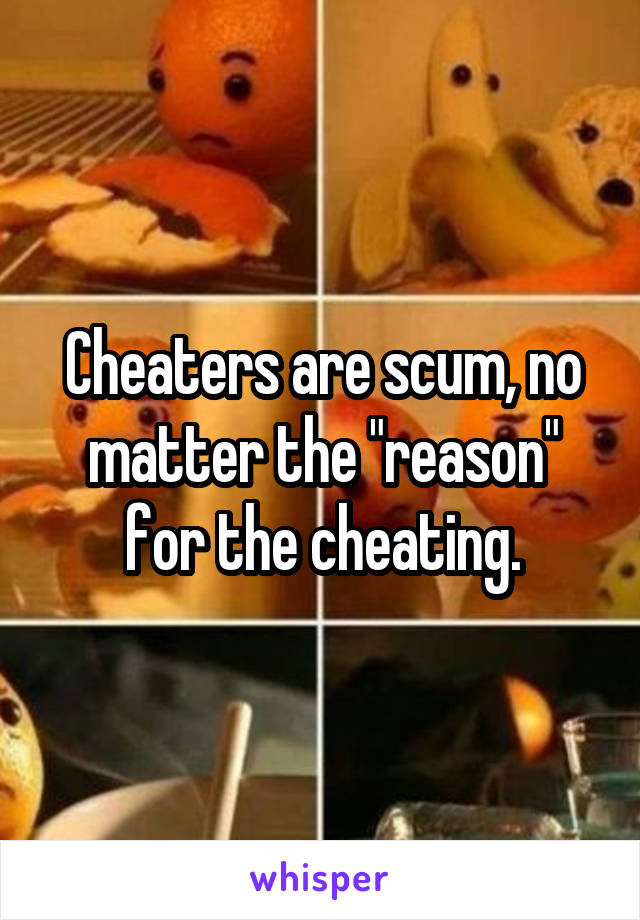 Cheaters are scum, no matter the "reason" for the cheating.