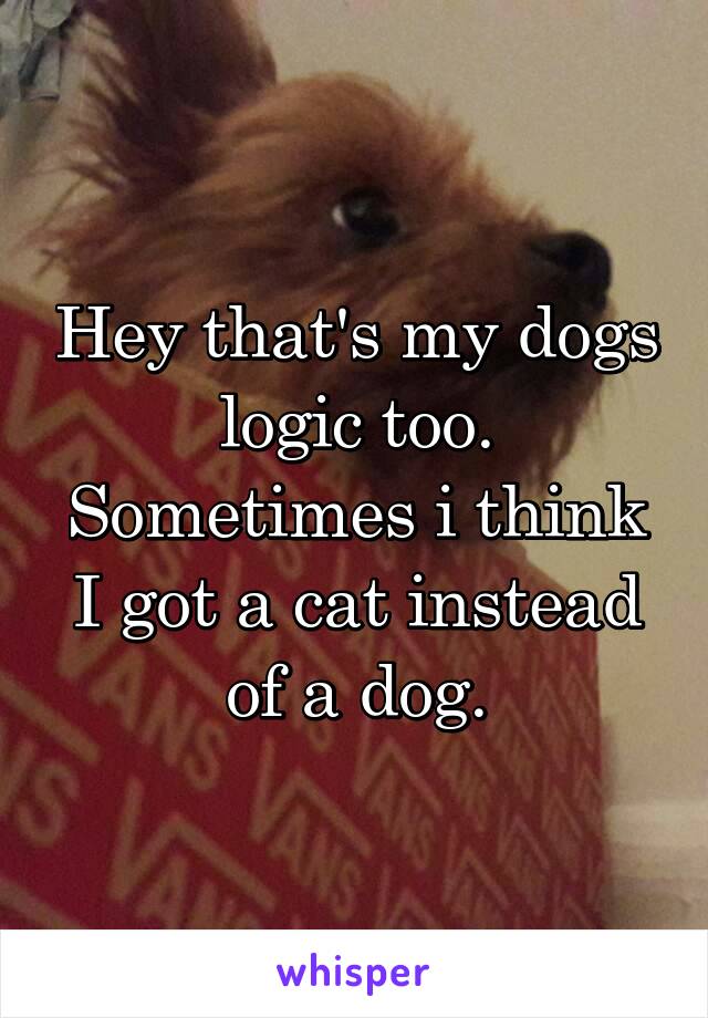 Hey that's my dogs logic too. Sometimes i think I got a cat instead of a dog.