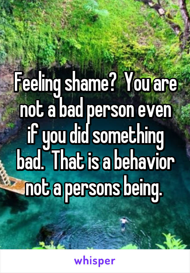 Feeling shame?  You are not a bad person even if you did something bad.  That is a behavior not a persons being. 