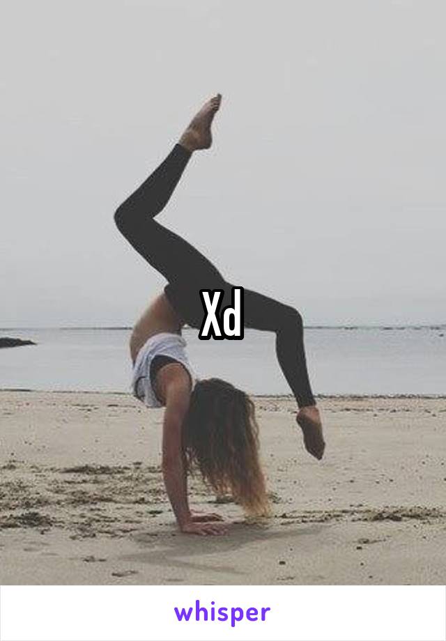 Xd 