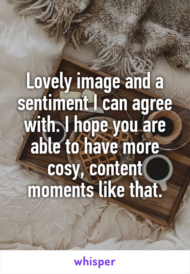 Lovely image and a sentiment I can agree with. I hope you are able to have more cosy, content moments like that.