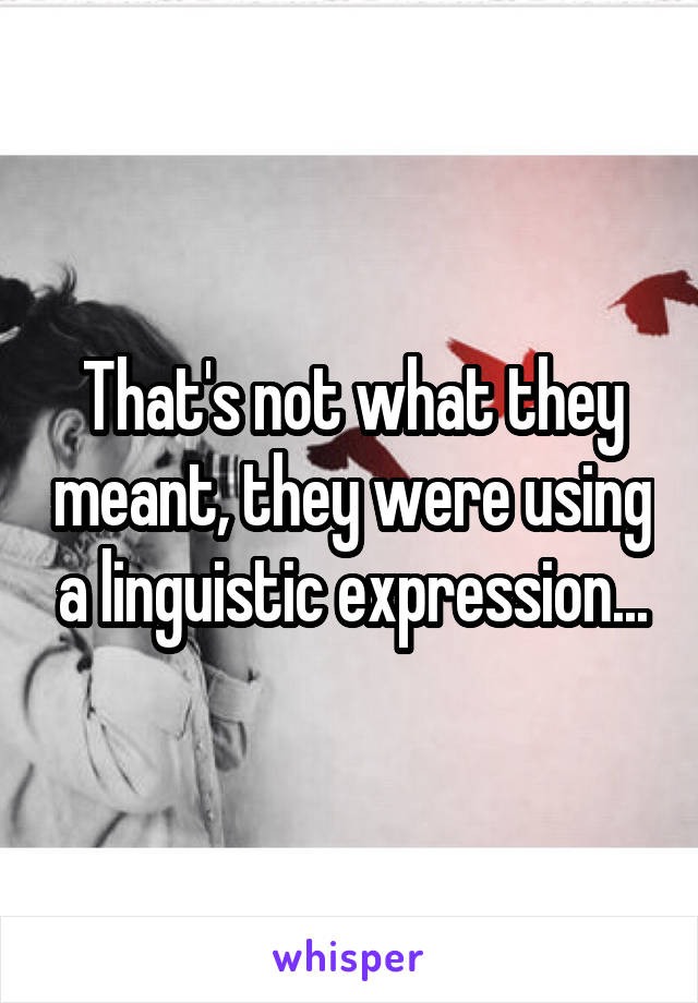 That's not what they meant, they were using a linguistic expression...