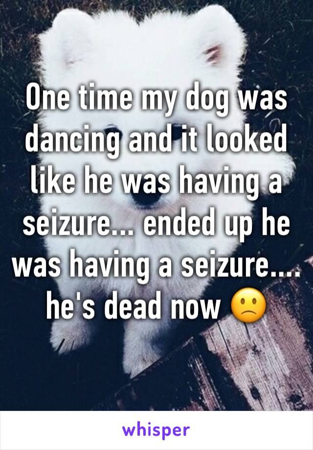 One time my dog was dancing and it looked like he was having a seizure... ended up he was having a seizure.... he's dead now 🙁