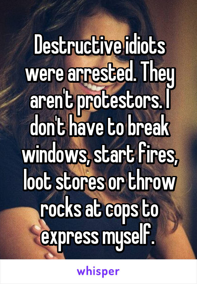 Destructive idiots were arrested. They aren't protestors. I don't have to break windows, start fires, loot stores or throw rocks at cops to express myself. 