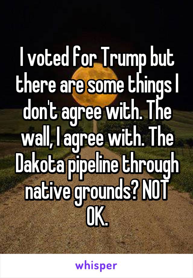 I voted for Trump but there are some things I don't agree with. The wall, I agree with. The Dakota pipeline through native grounds? NOT OK.
