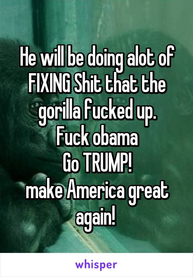 He will be doing alot of FIXING Shit that the gorilla fucked up.
Fuck obama
Go TRUMP!
make America great again! 