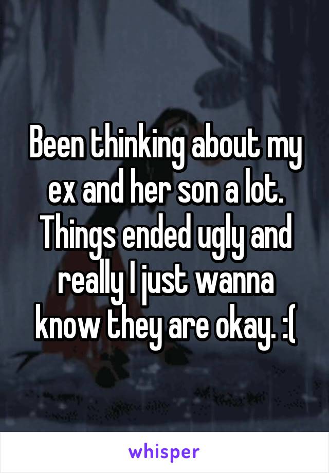 Been thinking about my ex and her son a lot. Things ended ugly and really I just wanna know they are okay. :(