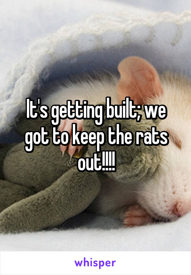 It's getting built; we got to keep the rats out!!!!