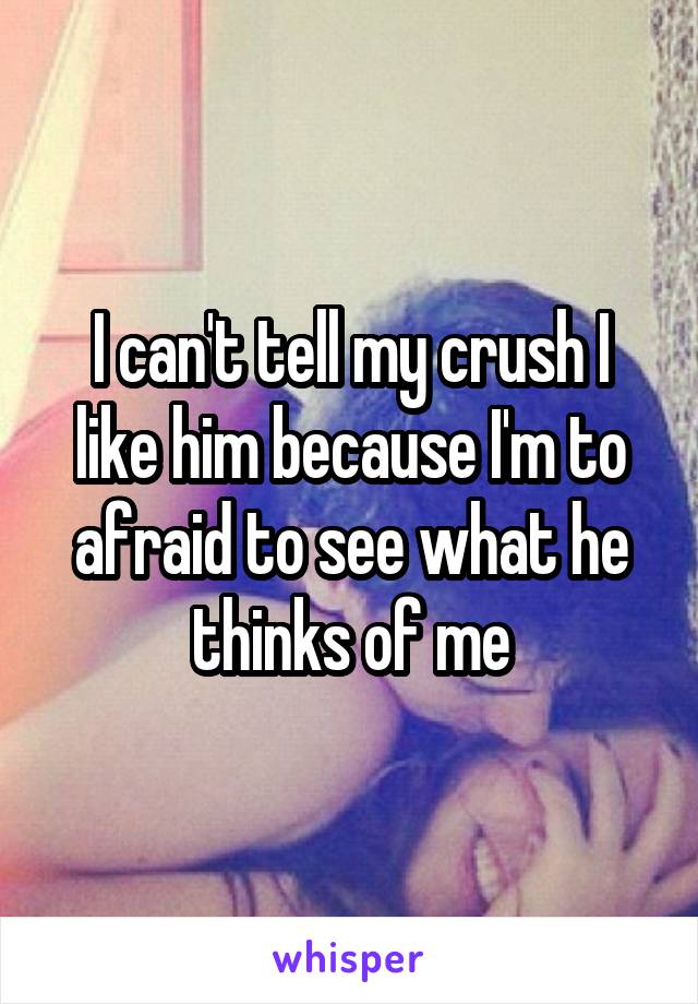 I can't tell my crush I like him because I'm to afraid to see what he thinks of me