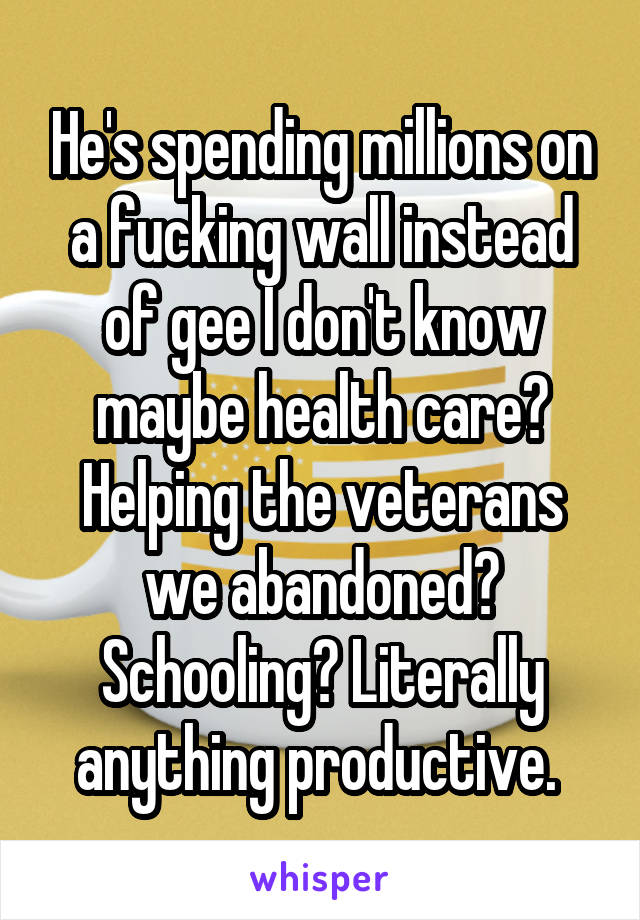 He's spending millions on a fucking wall instead of gee I don't know maybe health care? Helping the veterans we abandoned? Schooling? Literally anything productive. 