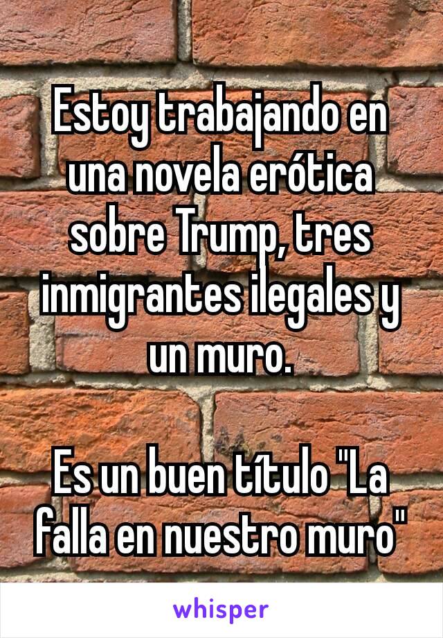Estoy trabajando en una novela erótica sobre Trump, tres inmigrantes ilegales y un muro.

Es un buen título "La falla en nuestro muro"