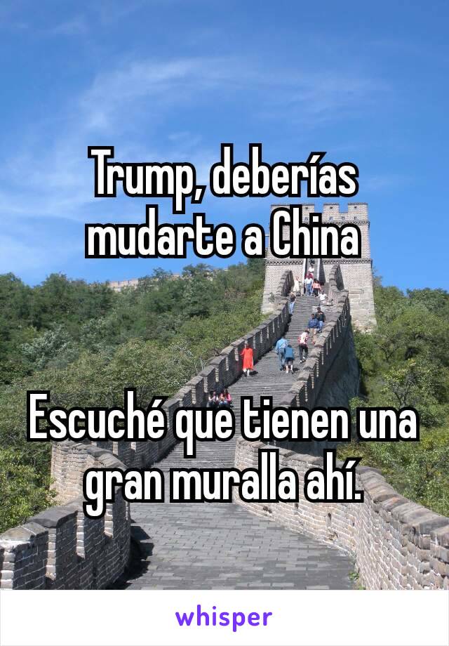 Trump, deberías mudarte a China


Escuché que tienen una  gran muralla ahí.