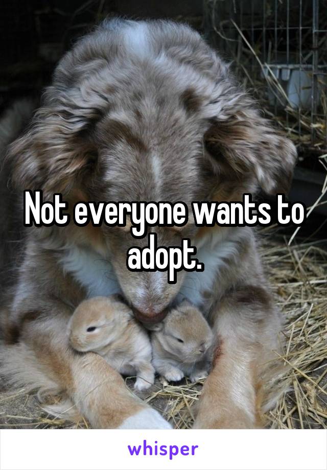 Not everyone wants to adopt.