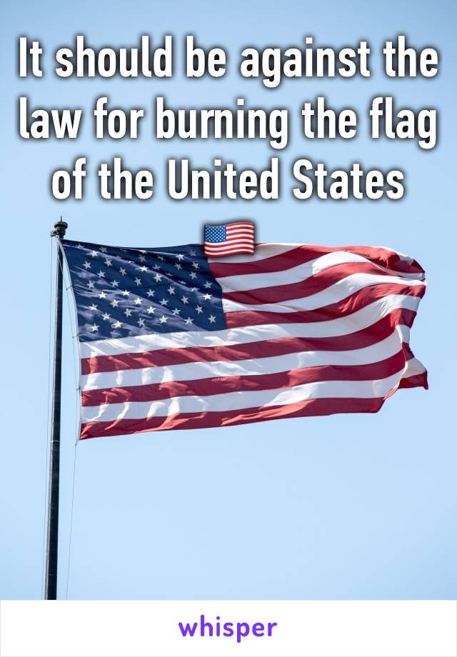 It should be against the law for burning the flag of the United States 
🇺🇸