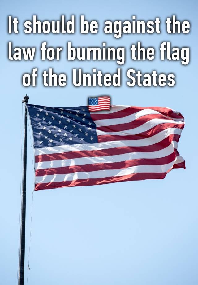 It should be against the law for burning the flag of the United States 
🇺🇸