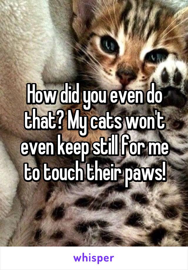 How did you even do that? My cats won't even keep still for me to touch their paws!