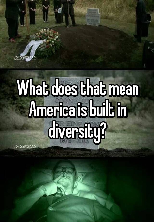 what-does-that-mean-america-is-built-in-diversity